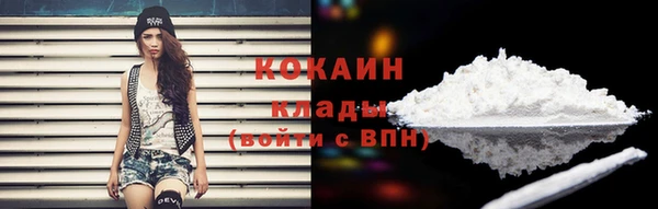 тгк Ростов