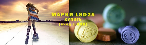 тгк Ростов