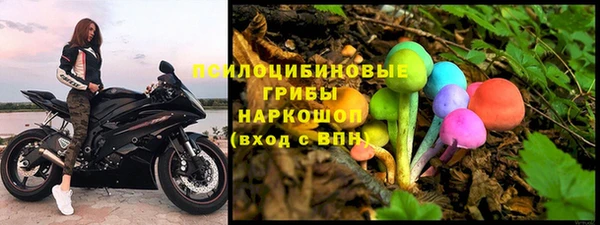 бошки Рославль