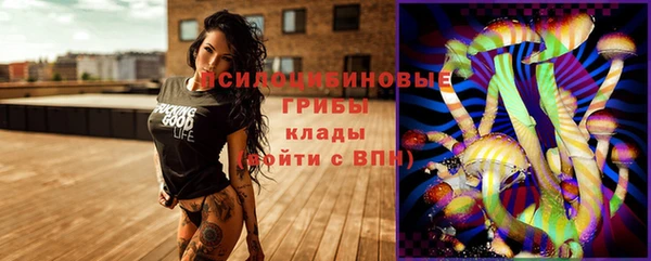 бошки Рославль